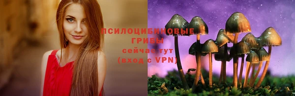 соль курить ск Волоколамск