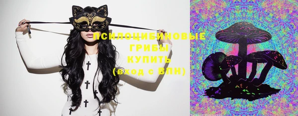 молекула духа Тутаев